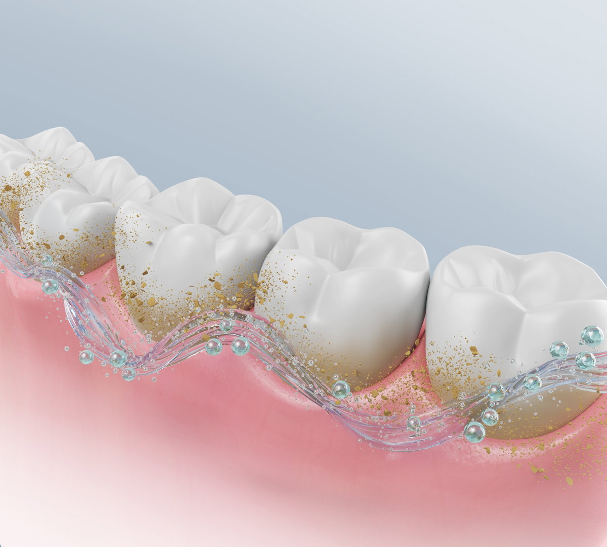 Dental Checkup And Cleaning in Asheville, NC