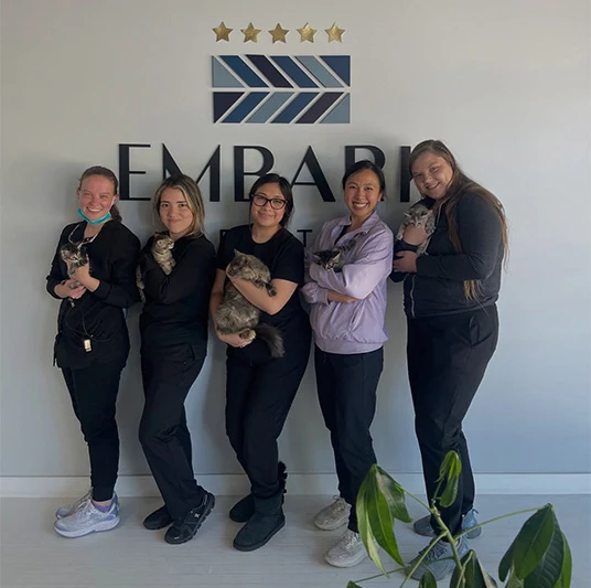 Embark Dental team members holding rescue kittens